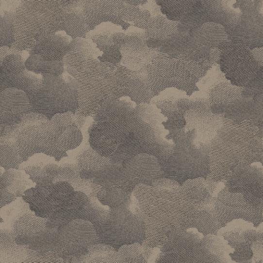 nuages corr  gris