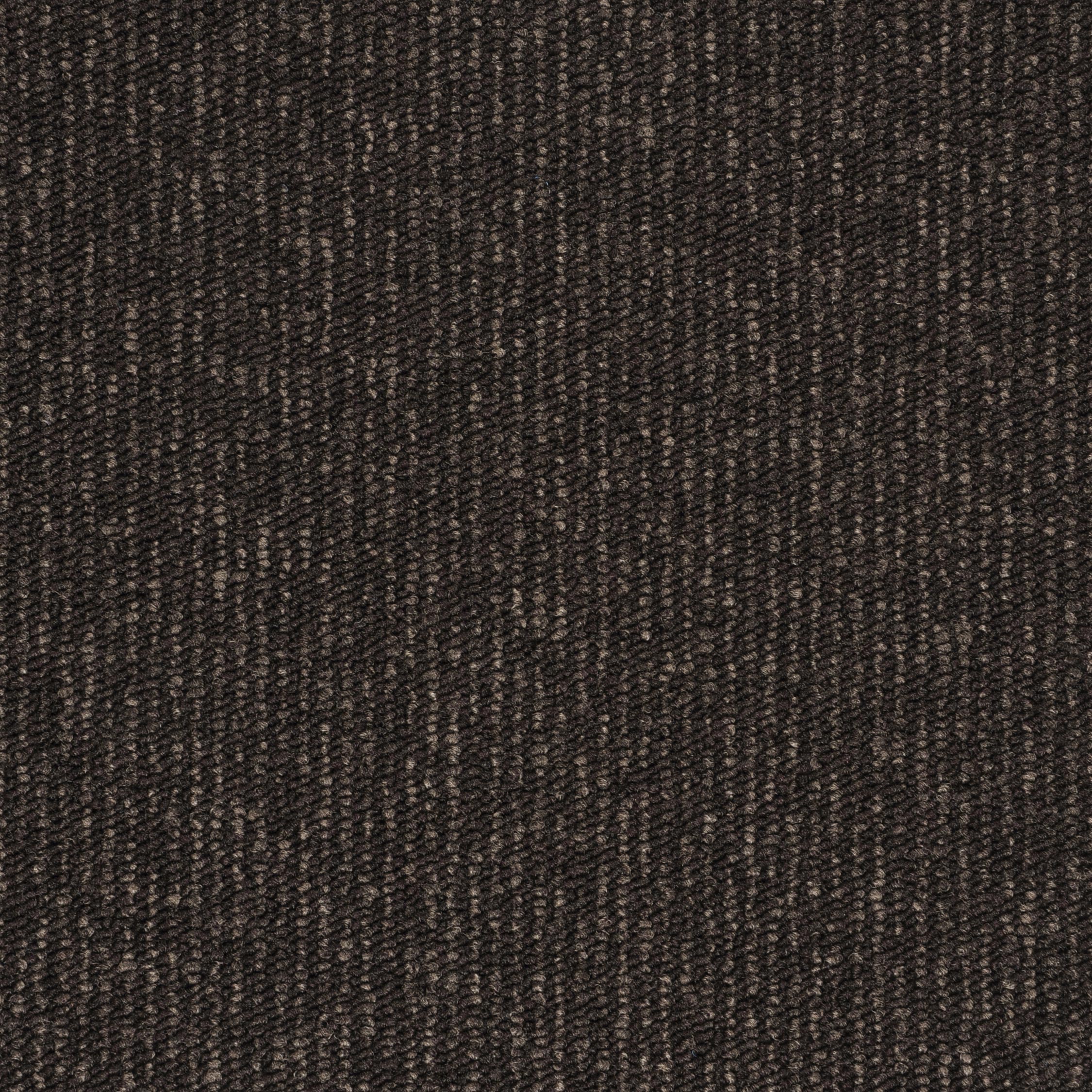 Contra Stripe dark brown