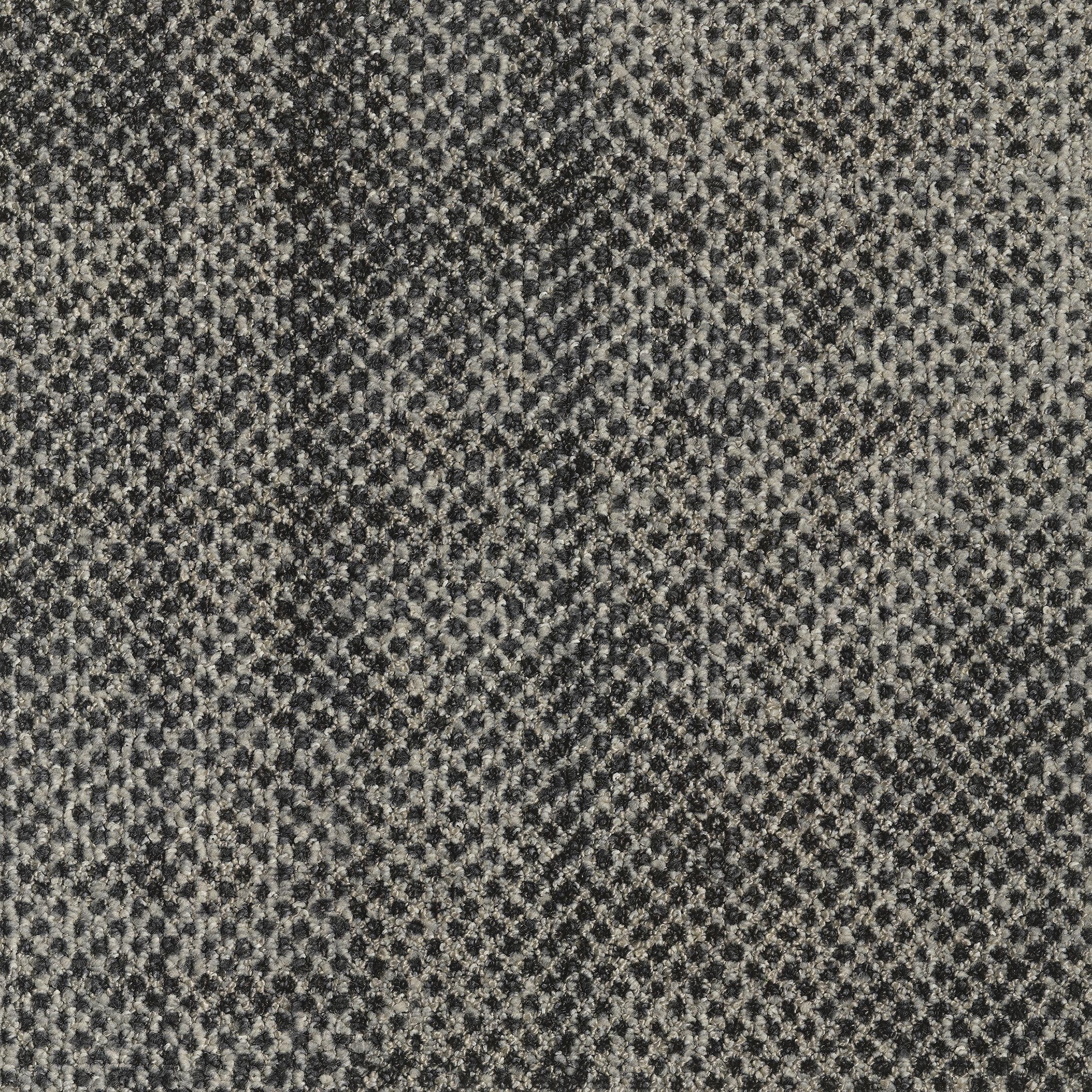 ReForm Transition Seed dark grey 5595