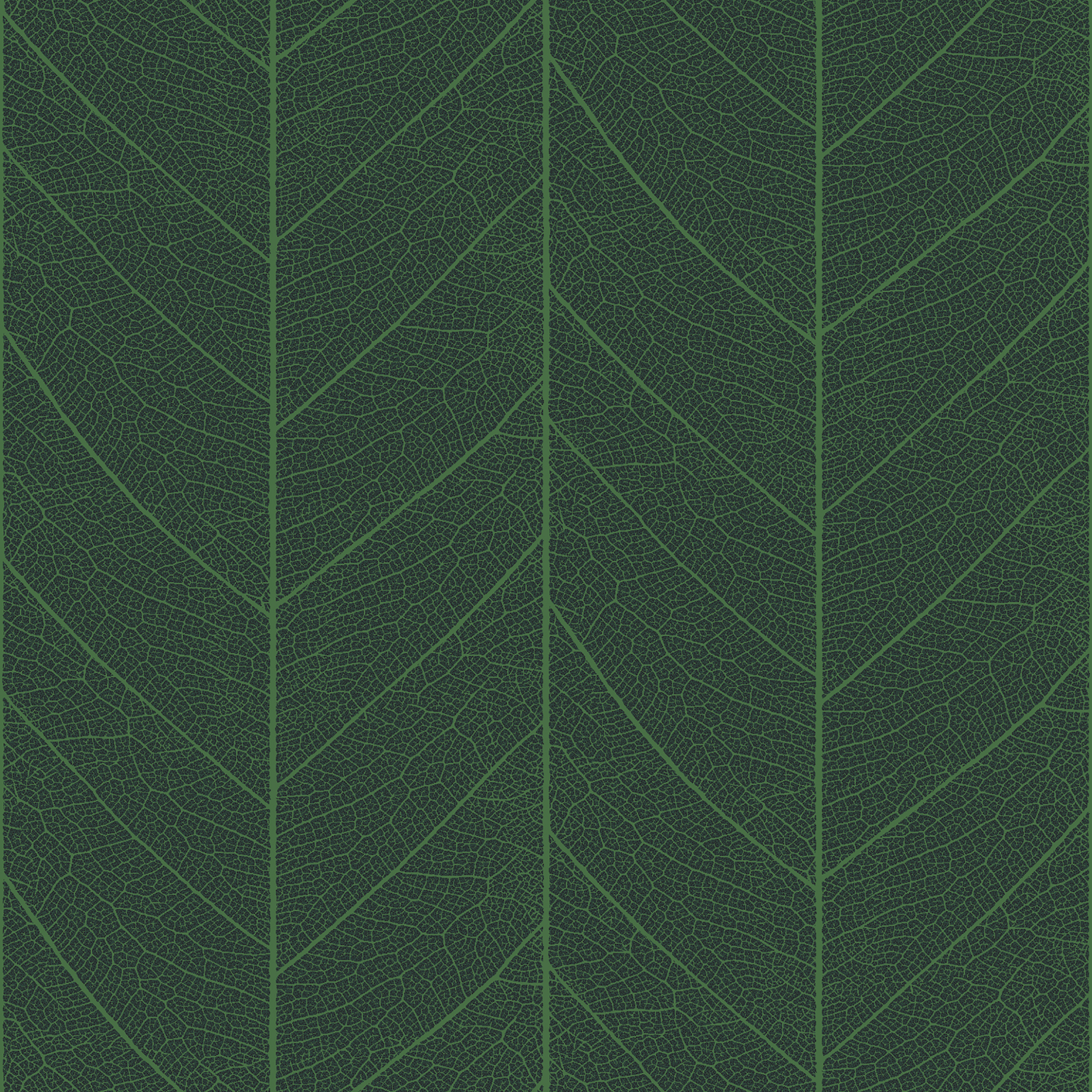 leaf skeleton  green