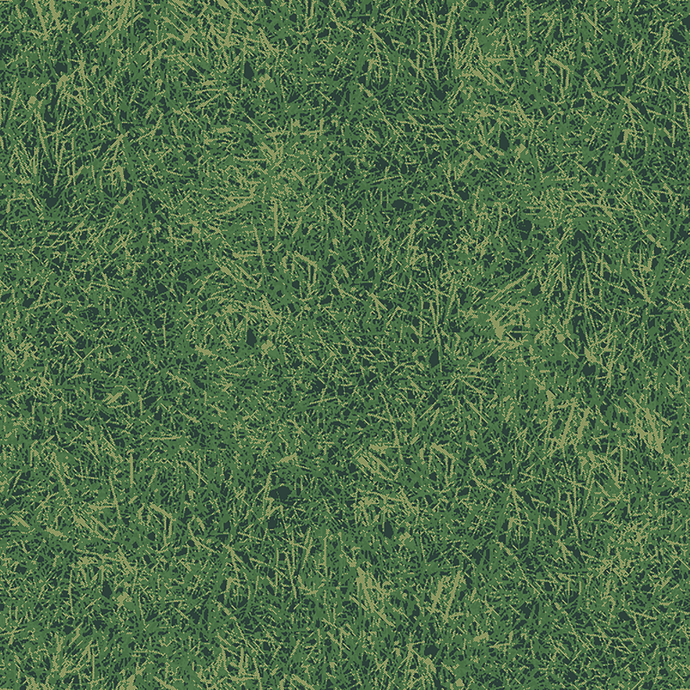 grass field  green
