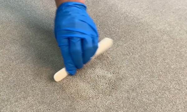 Stain Removal vomit