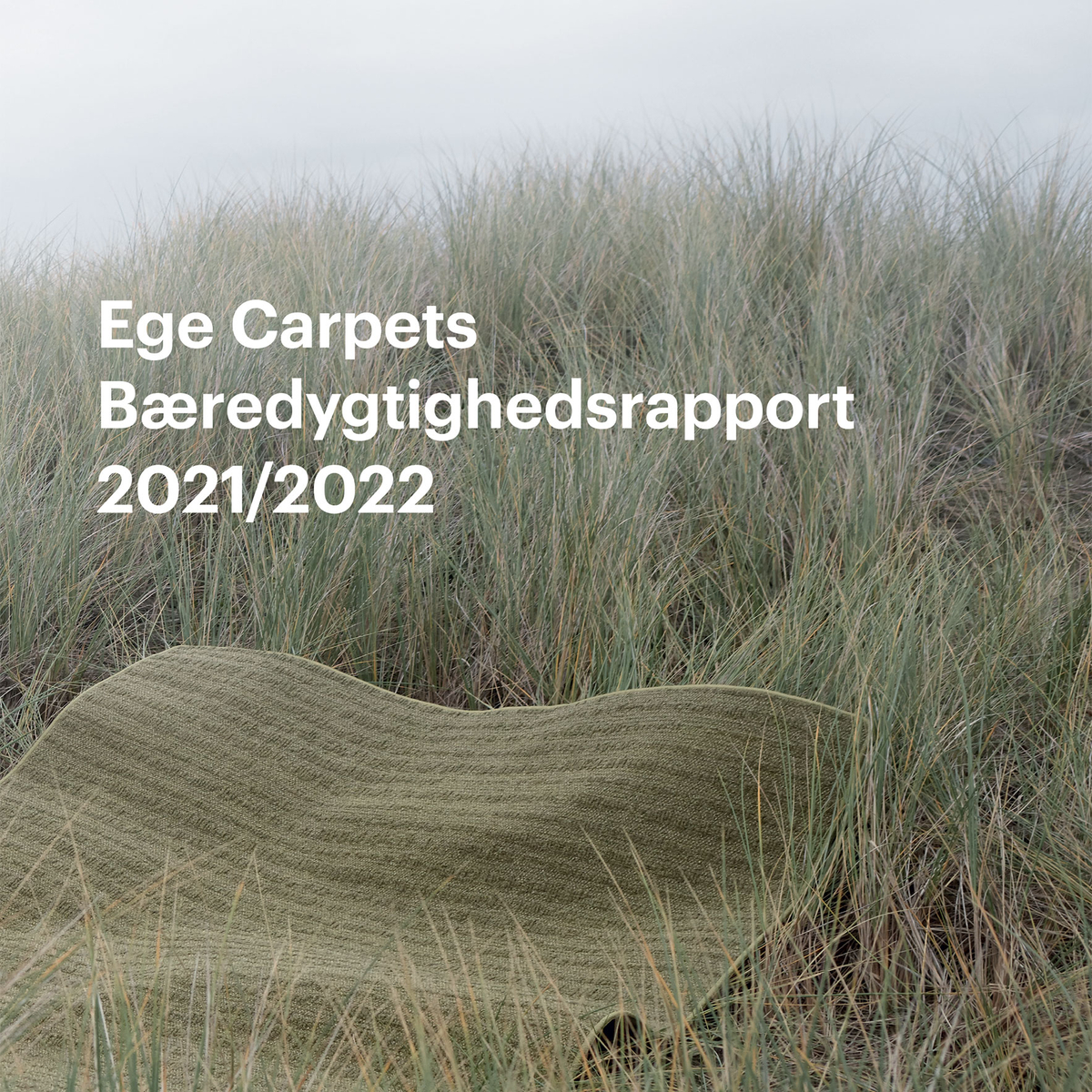 Bæredygtighedsrapport 2021/2022
